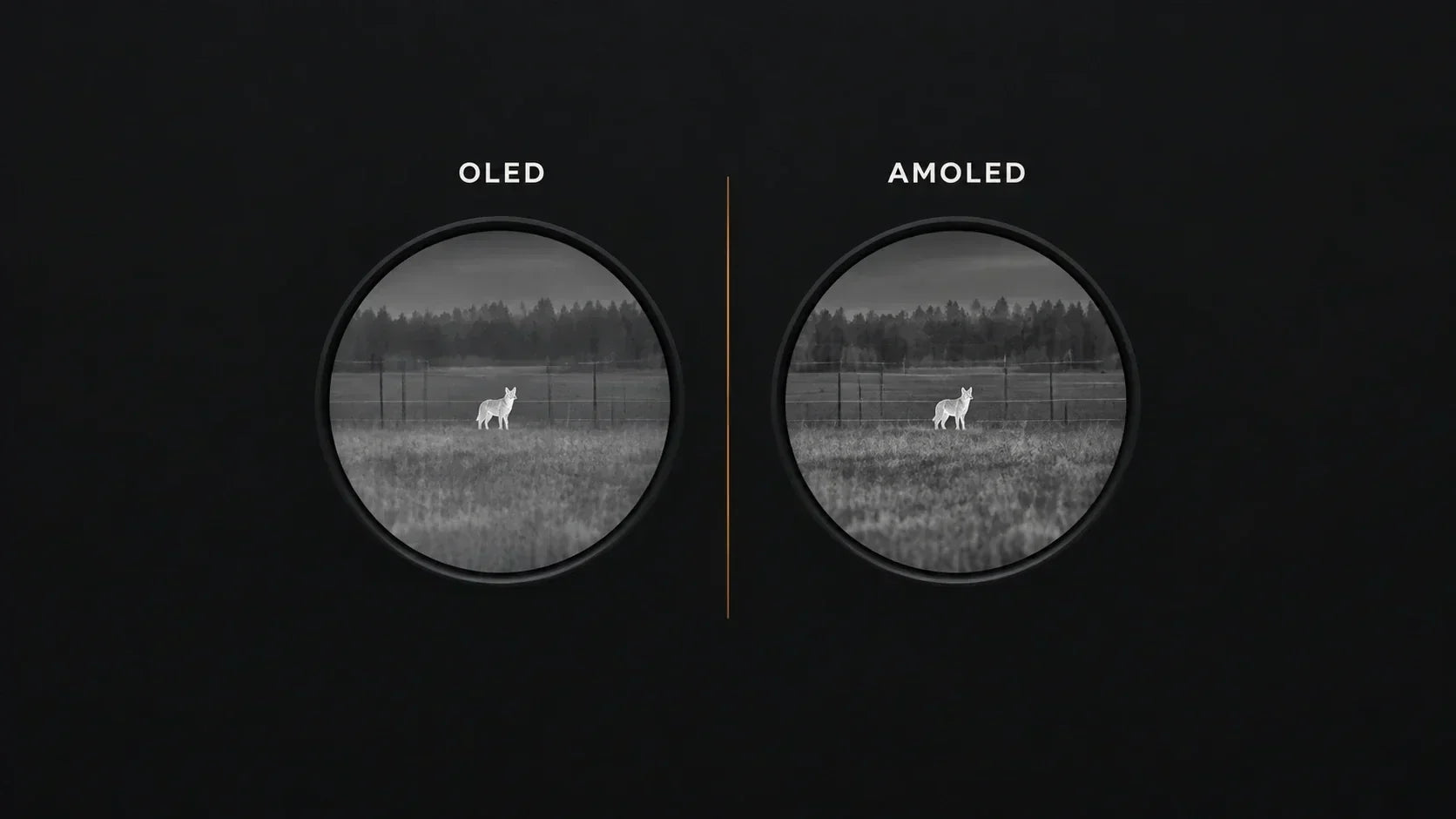 Is AMOLED Better Than OLED in Thermal Scopes? (And When It Actually Matters)