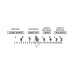 Blue Diamond 4-16x42 Riflescope Info.