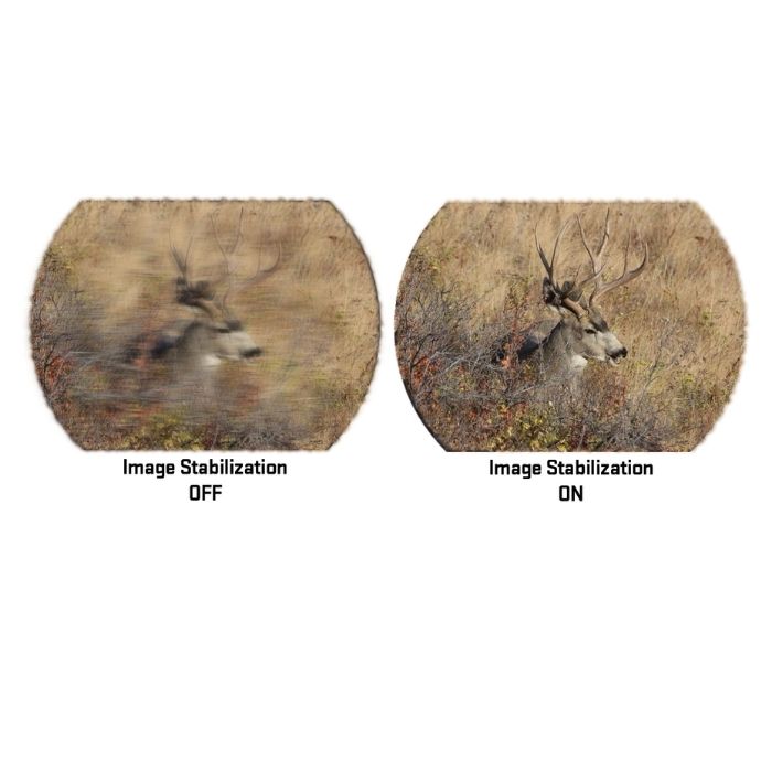 binoculars with image stabilization - live view