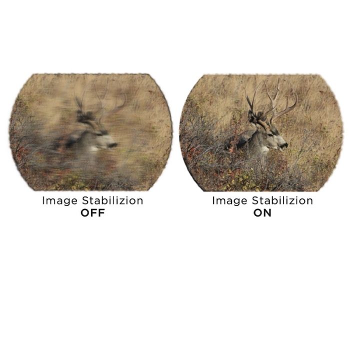 sig sauer image stabilizing binoculars - live view